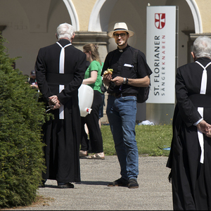 Minis in St. Florian